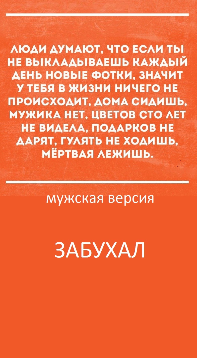 НАВЕЯЛО | Пикабу