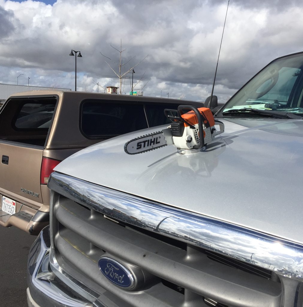 Figure on the hood of harsh drivers - Photo, Auto, Ford, Reddit