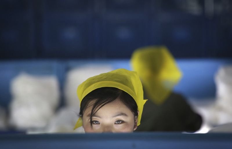 Excursion to the silk factory in North Korea - Корея, Factory, Work, Longpost