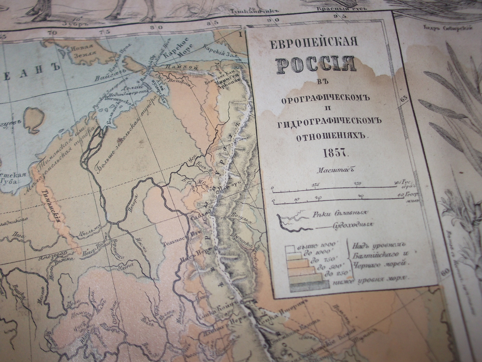 Учебный атлас. Авт. Симашко - Моё, Антиквариат, Моё, Симашко, Атлас, Длиннопост