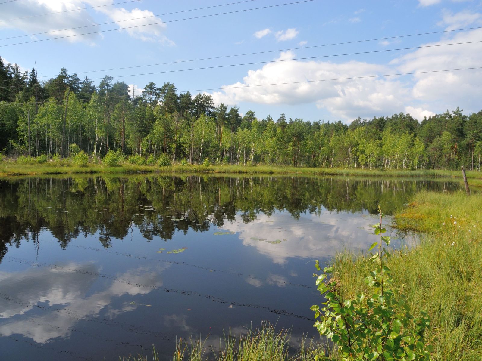 Only in the photographs you understand that Russian nature is so beautiful!.. - Nature, Russia, Longpost