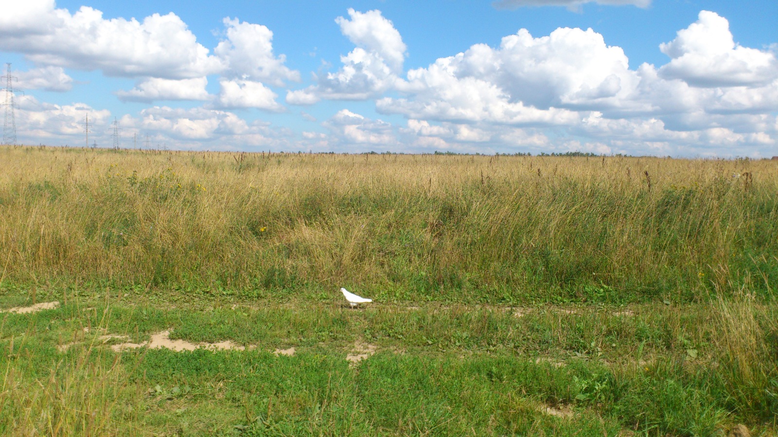 Only in the photographs you understand that Russian nature is so beautiful!.. - Nature, Russia, Longpost