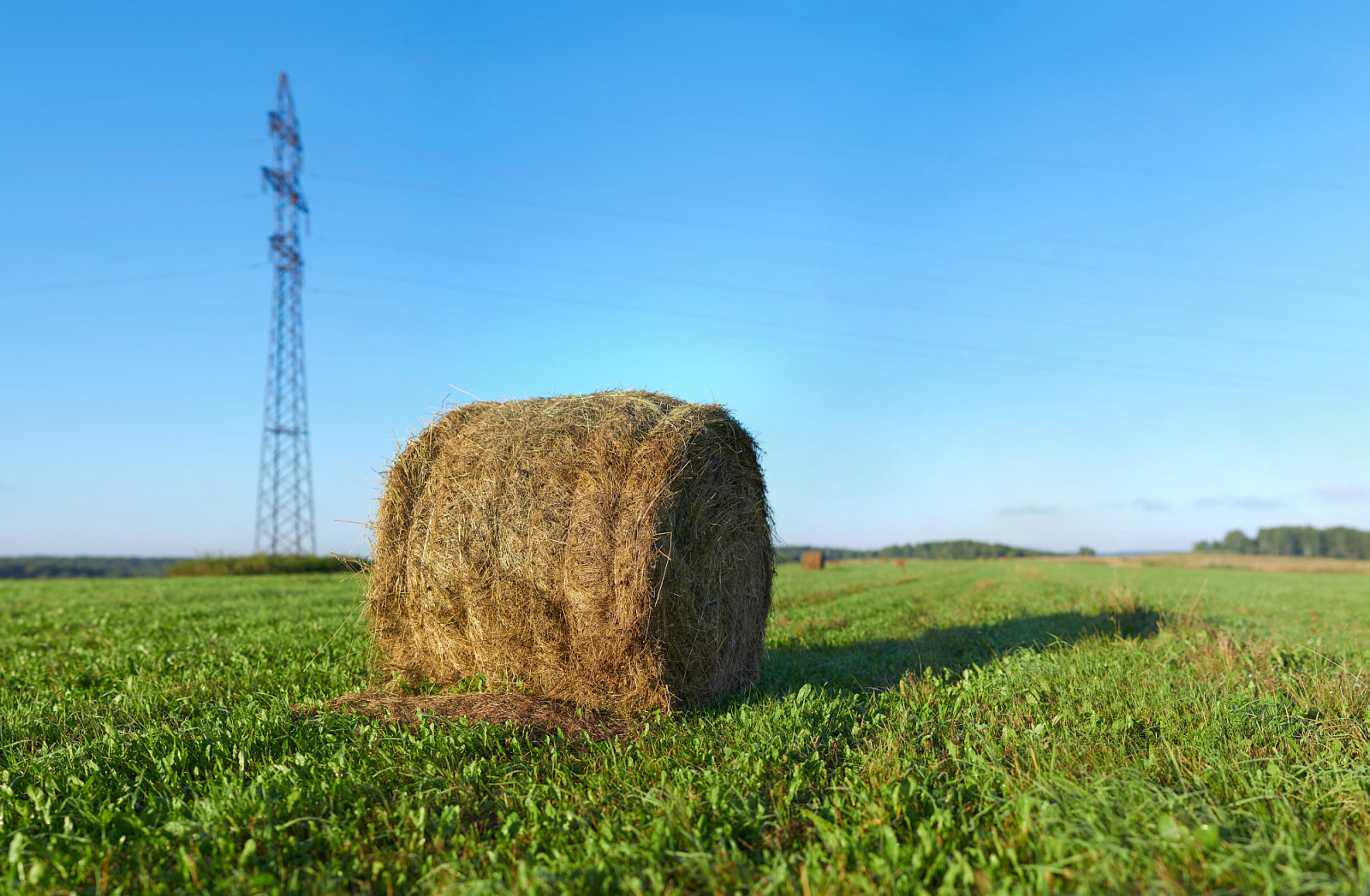 A little bygone summer - My, The photo, Nature, Siberia, Kemerovo region - Kuzbass, Prokopyevsk, HDR, Панорама, Longpost