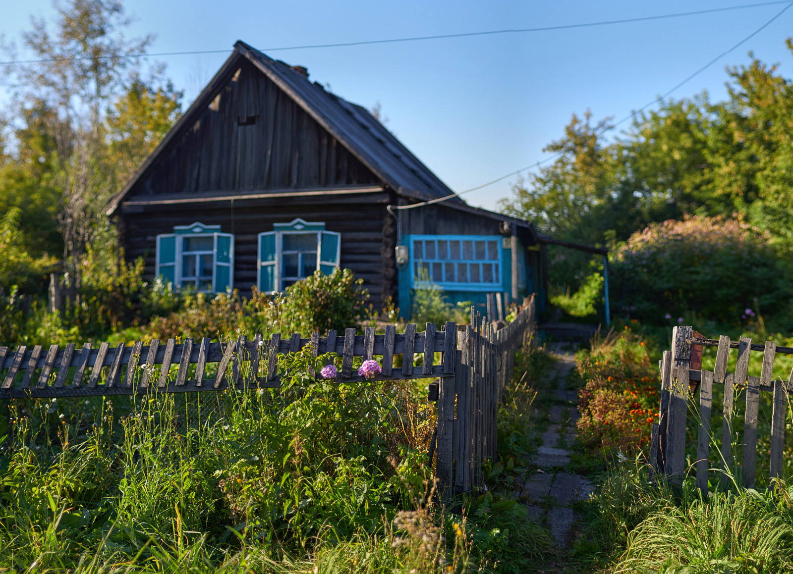 A little bygone summer - My, The photo, Nature, Siberia, Kemerovo region - Kuzbass, Prokopyevsk, HDR, Панорама, Longpost