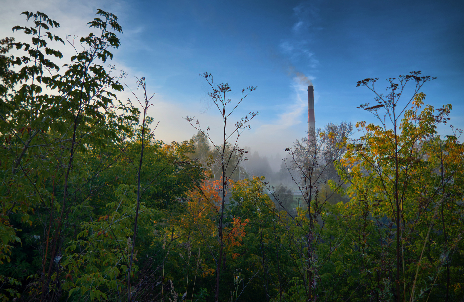 A little bygone summer - My, The photo, Nature, Siberia, Kemerovo region - Kuzbass, Prokopyevsk, HDR, Панорама, Longpost