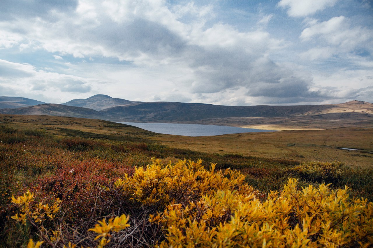 Ukok Plateau - Altai, Photo, Nature, Summer, Landscape, Gotta go, Russia, Longpost, Altai Republic