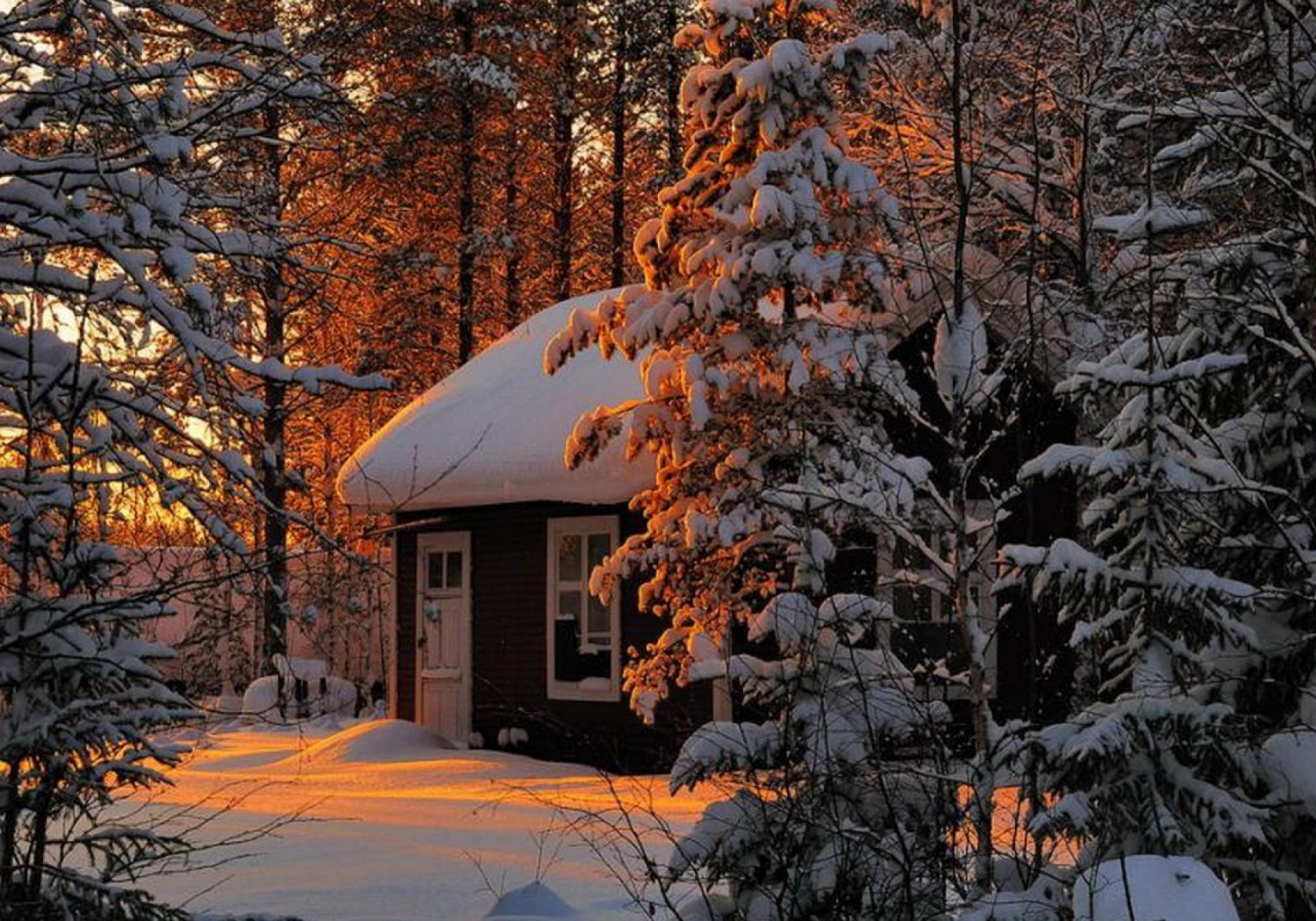 Зимние теплые дома