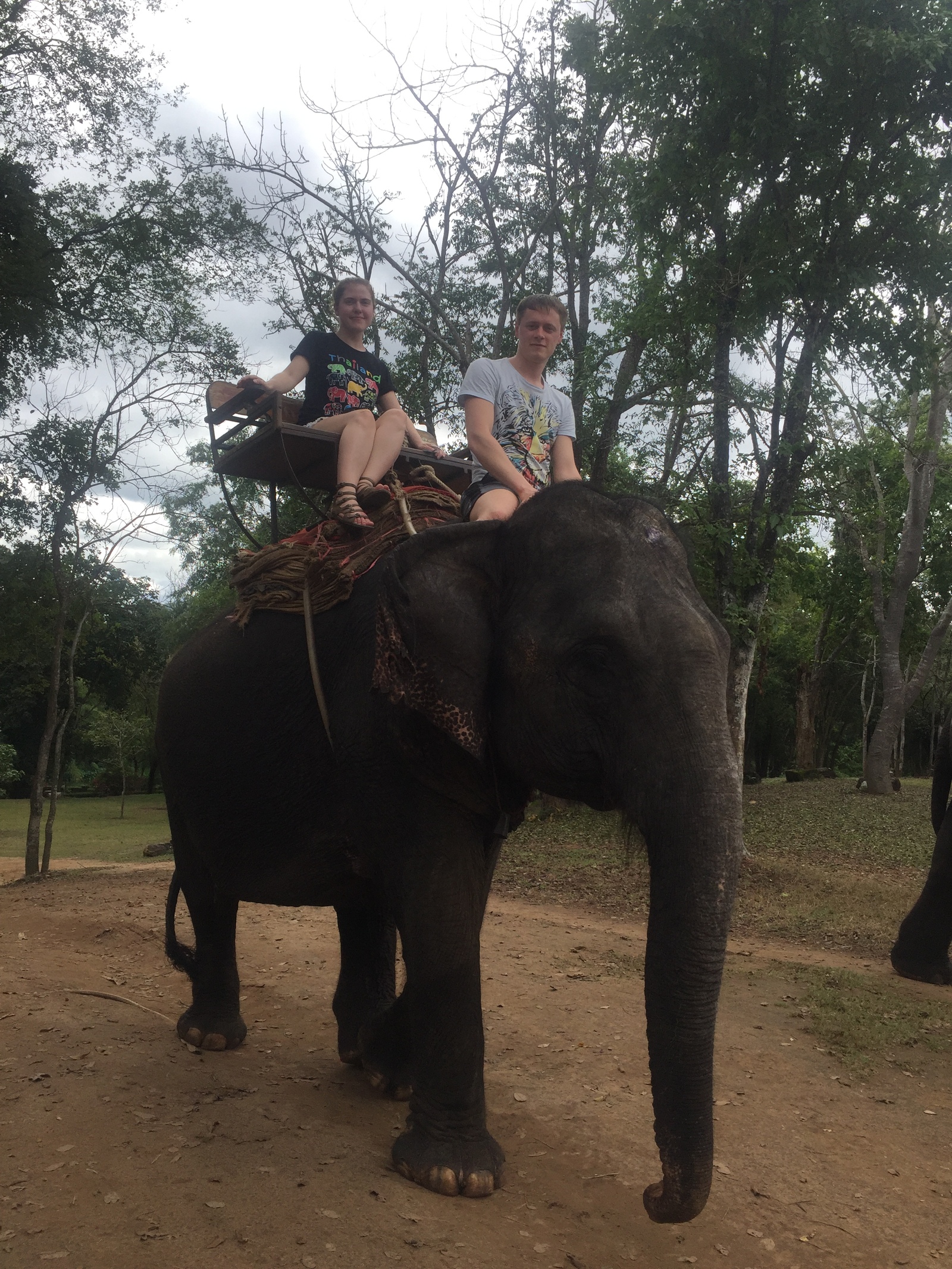 Vacation Thailand 2017 - My, Thailand, Vacation, Фрукты, Elephants, Longpost