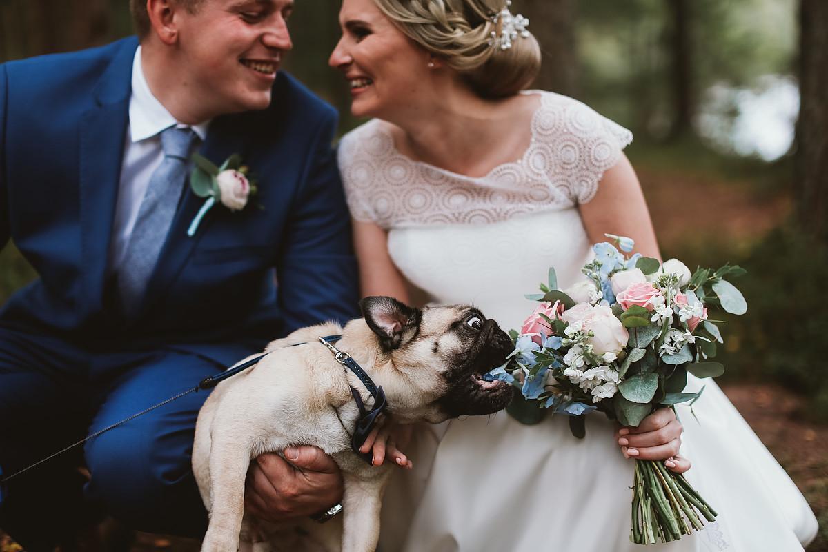 Hunger is not aunt - Wedding, Bouquet, Pug, Dog