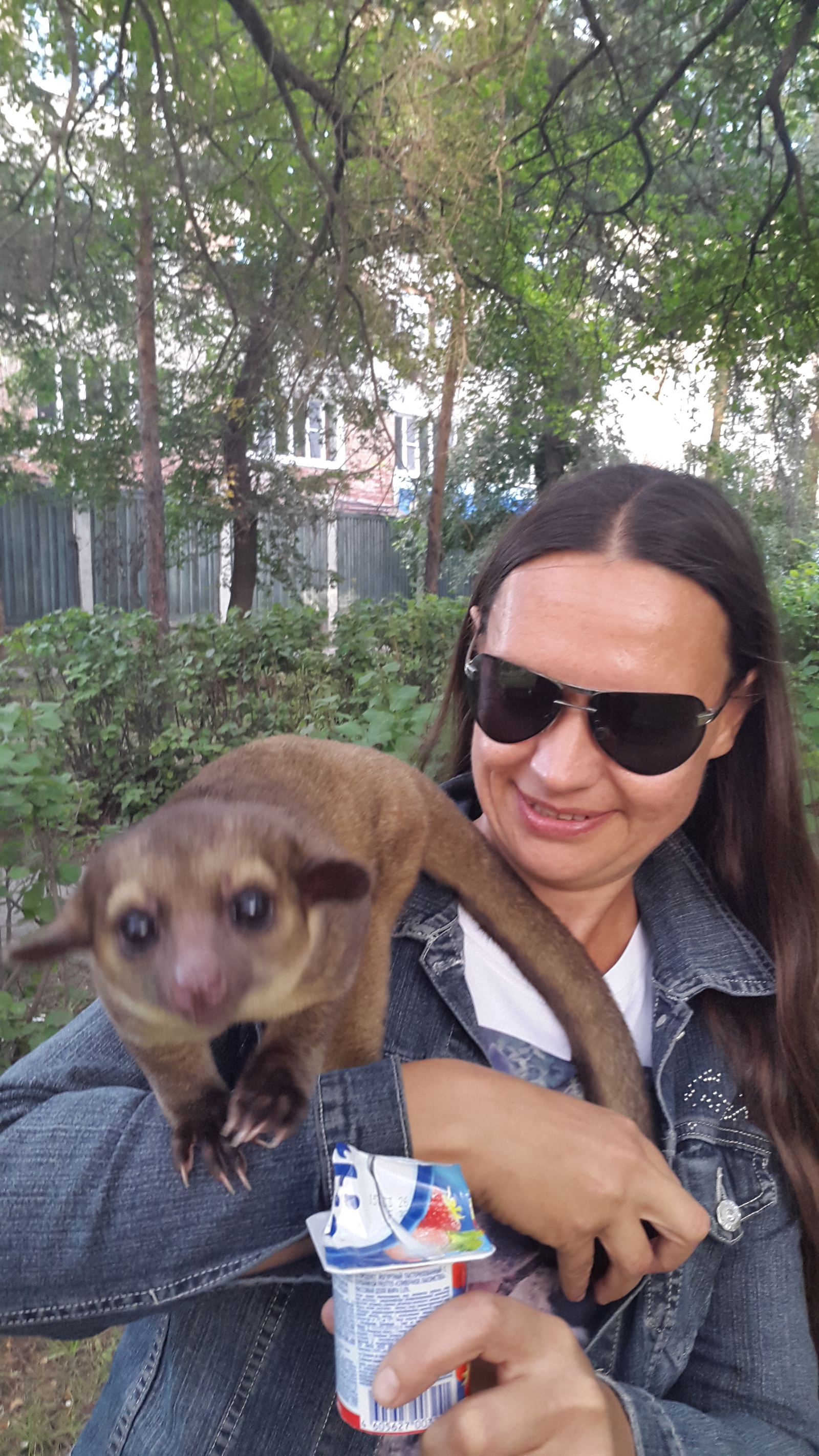 Kinkajou is our flower bear named Malibu. - My, Potto, Longpost, Animals