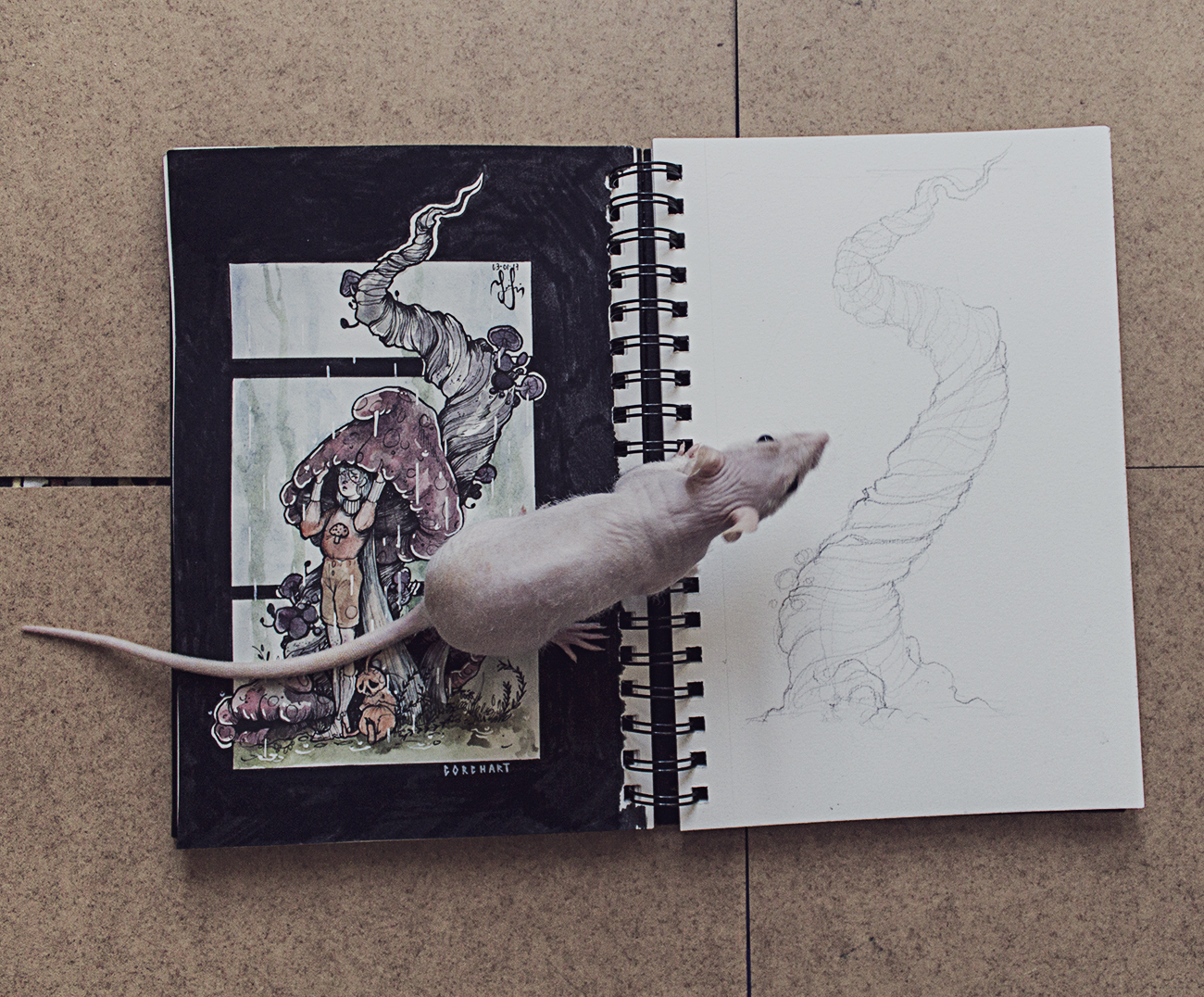 Gorchart - My, Drawing, Creation, Illustrations, Art, Rat, , Pokemon, Watercolor, Longpost