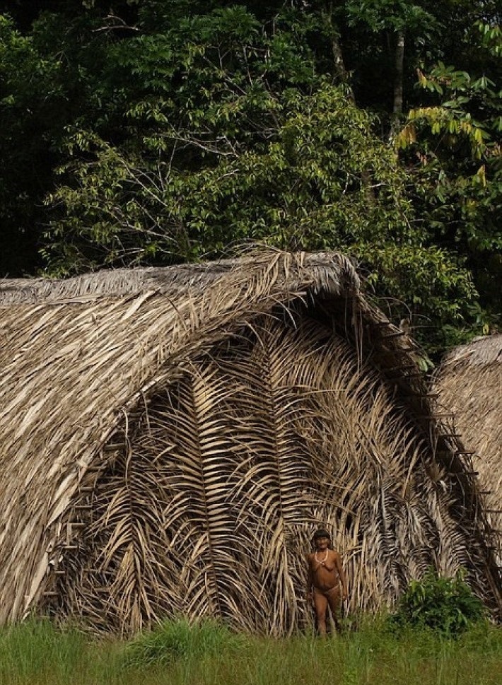 The photographer spent 12 days with the savages from the Amazonian tribe. His shots are shocking... - Guarani, Peekaboo, Longpost