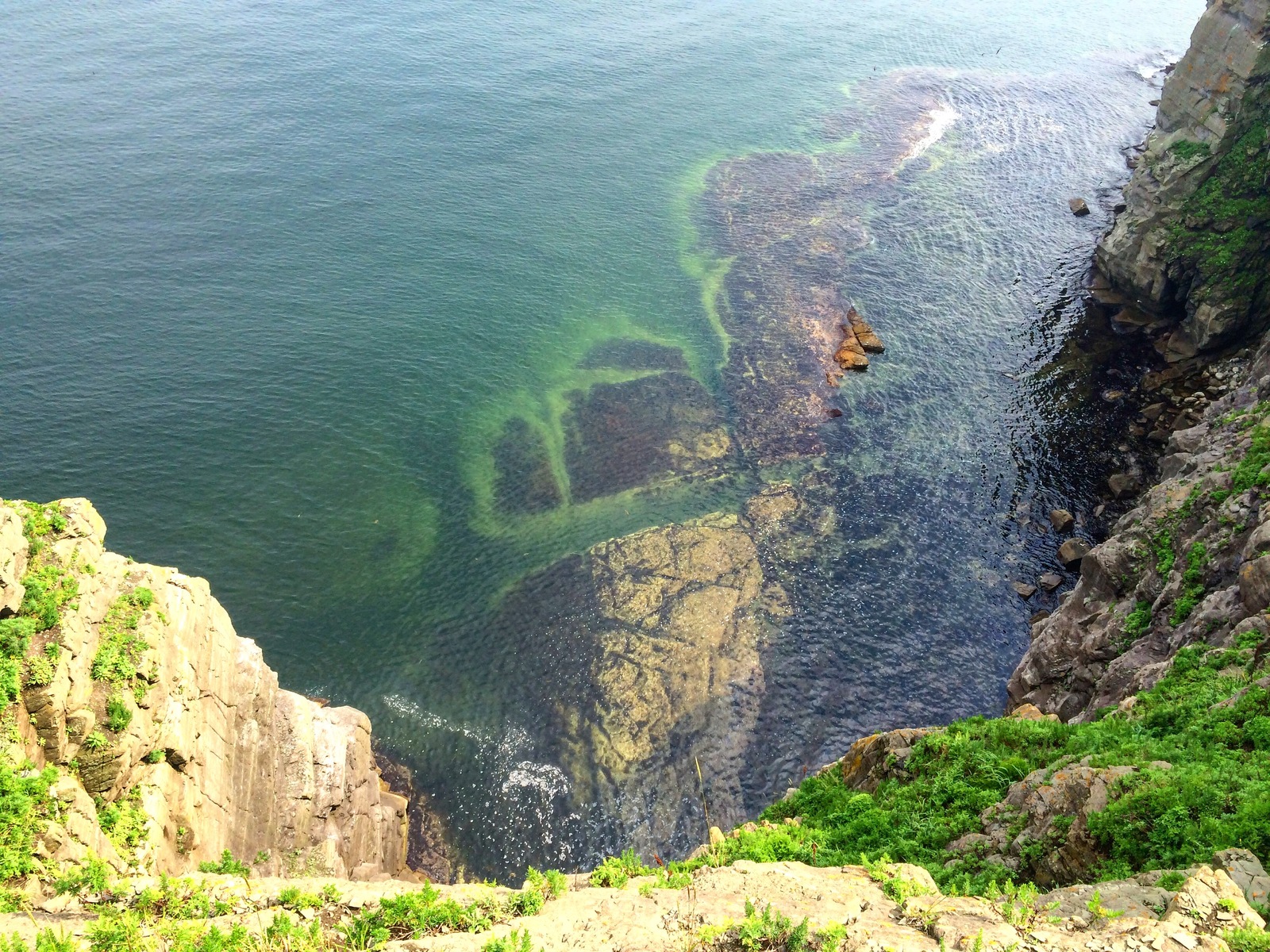 Sympathy post - My, Town, Vladivostok, Sea, Longpost