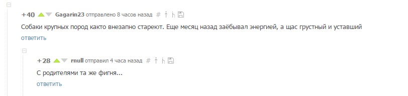 О собаках и родителях. - Сравнение, Комментарии, Собаки и люди