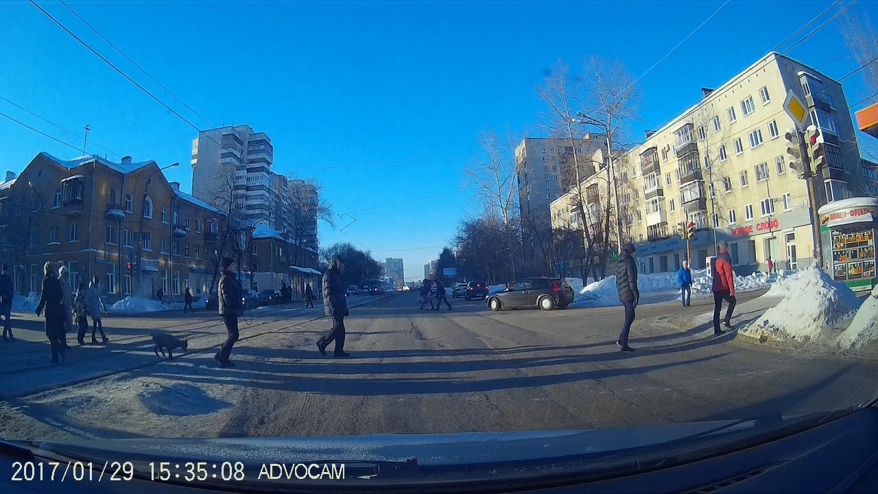 Nothing out of the ordinary, just a goat on a leash... - My, Kid, Leash, Pets, Gimmick, Yekaterinburg