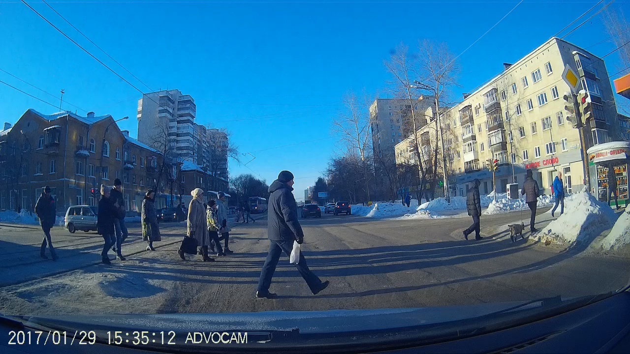 Nothing out of the ordinary, just a goat on a leash... - My, Kid, Leash, Pets, Gimmick, Yekaterinburg