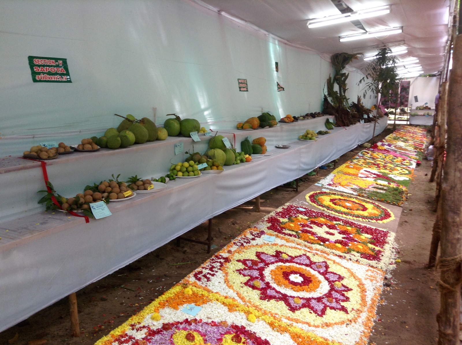 Flower rangoli, Tamil Nadu, India - My, India, , Exhibition, Rangoli, Travels, Longpost