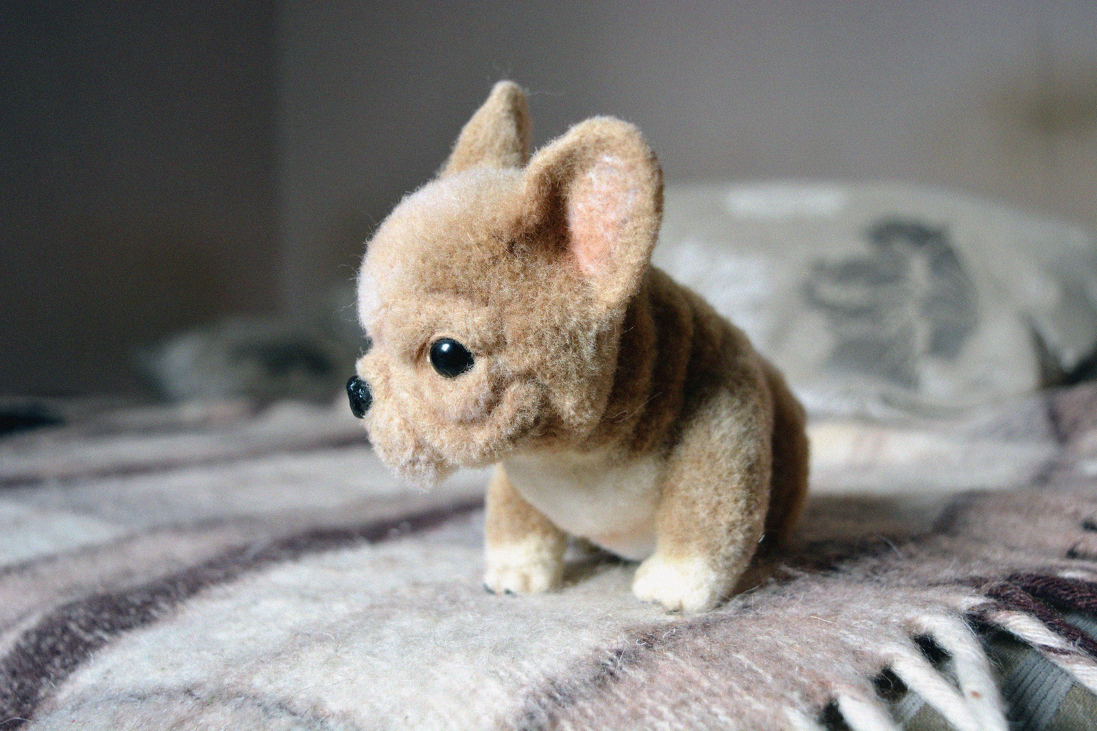 Wool french bulldog puppy - My, Wool, Felt, Wallow, , Corgi, Bulldog, Chow Chow, Toys, Longpost