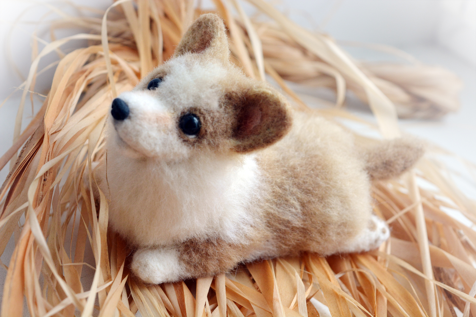 Wool french bulldog puppy - My, Wool, Felt, Wallow, , Corgi, Bulldog, Chow Chow, Toys, Longpost