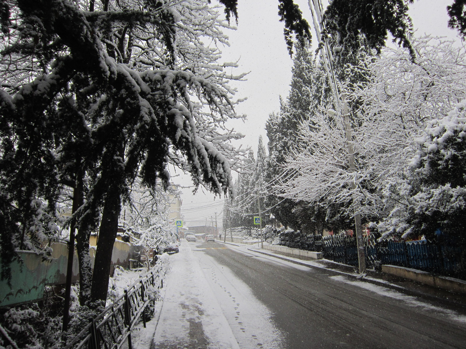 Today in Sochi (Adler district) - My, Sochi, Adler, Snow, Longpost