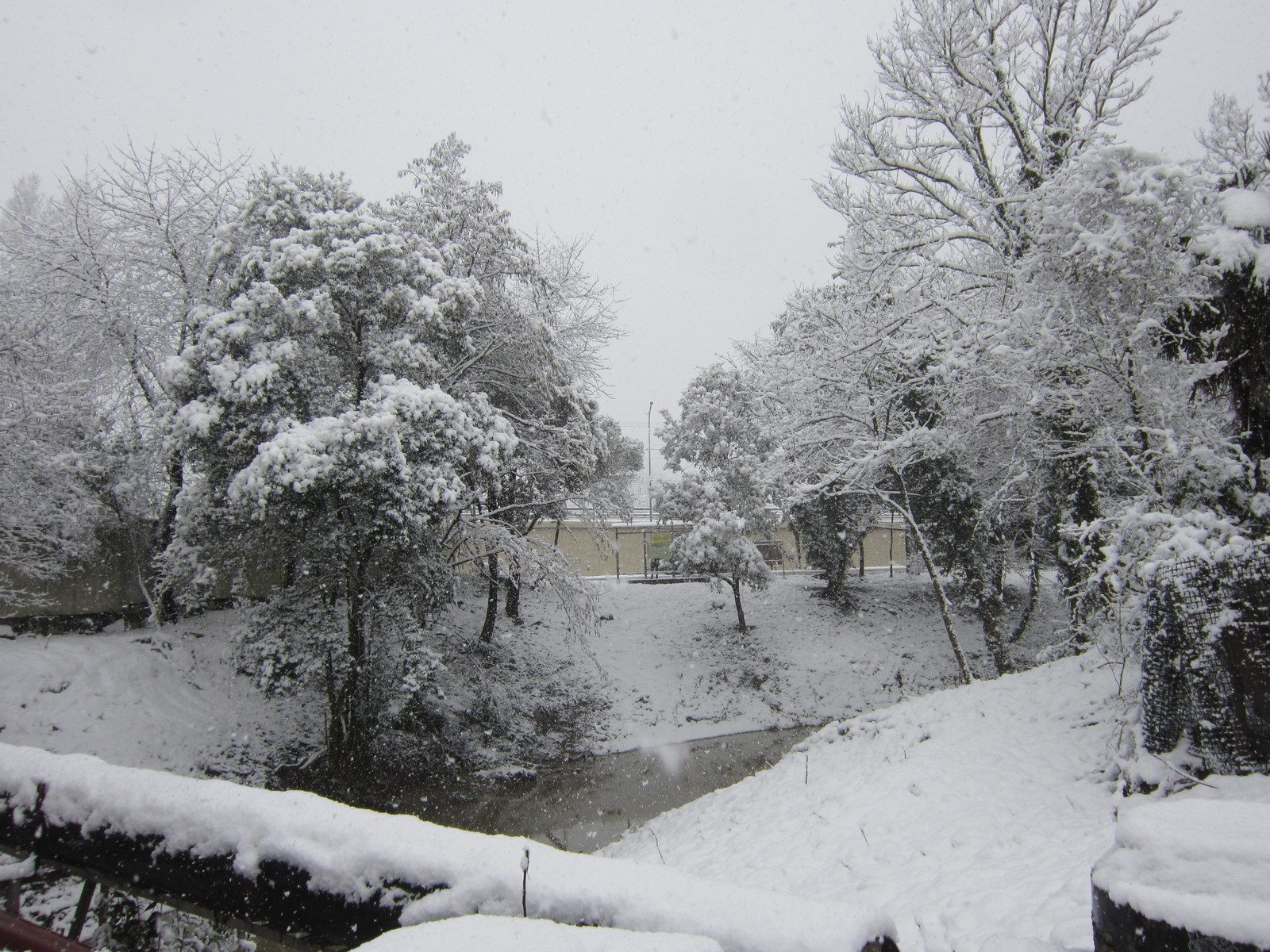 Today in Sochi (Adler district) - My, Sochi, Adler, Snow, Longpost