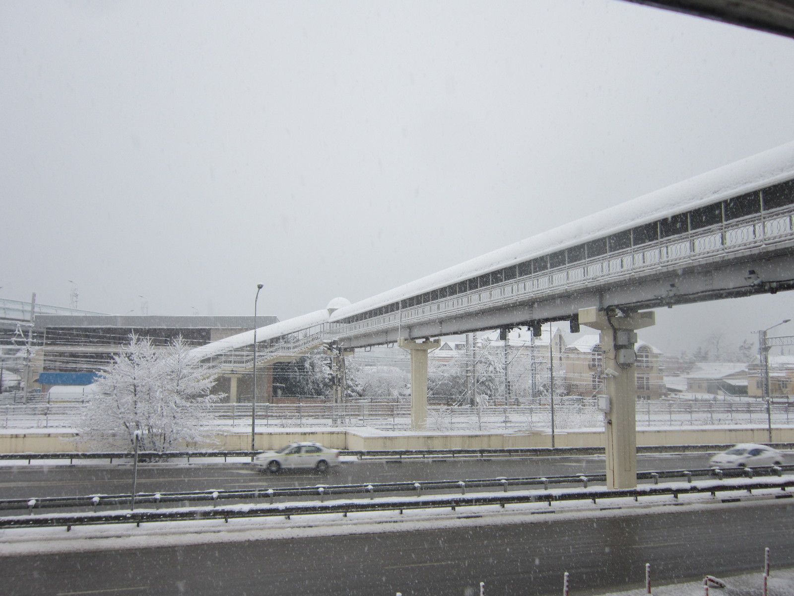 Today in Sochi (Adler district) - My, Sochi, Adler, Snow, Longpost