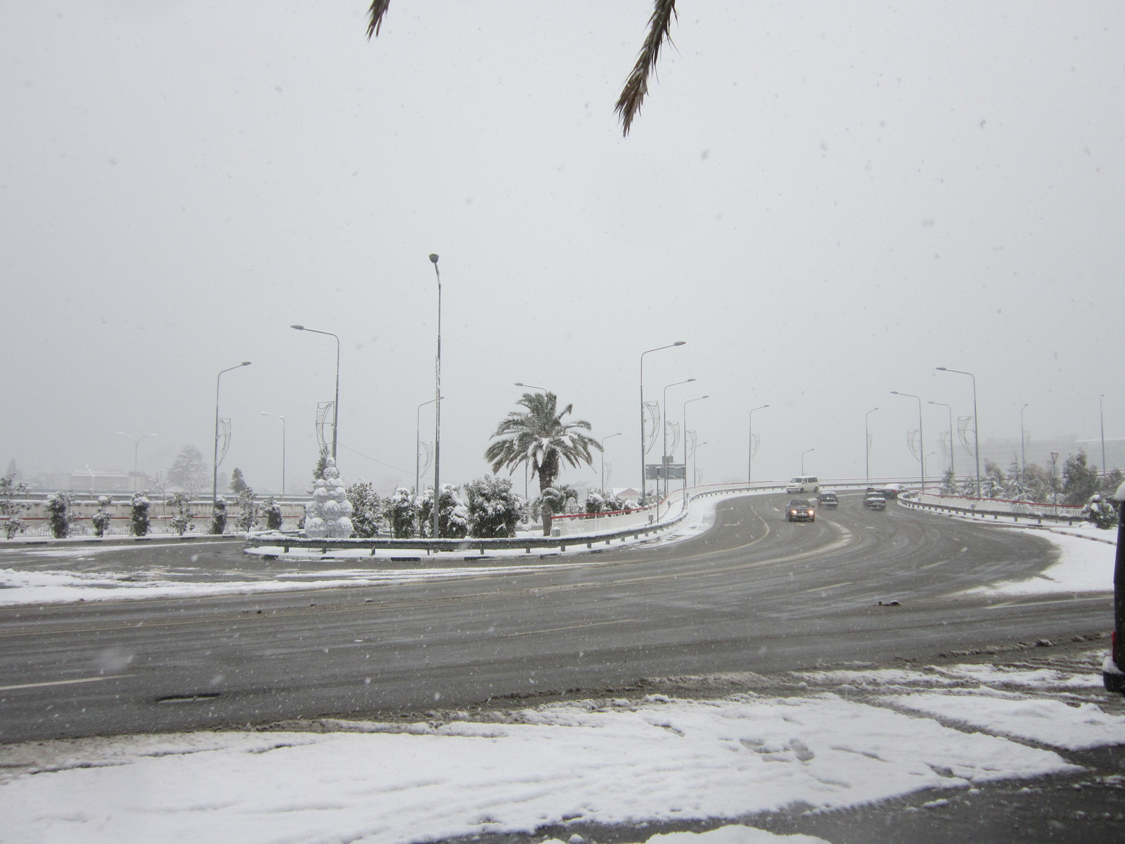 Today in Sochi (Adler district) - My, Sochi, Adler, Snow, Longpost