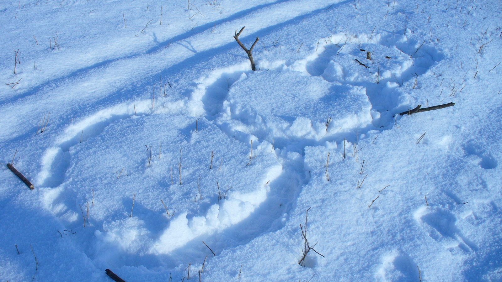 Laziness - My, snowman, Laziness, Grandchildren, Winter