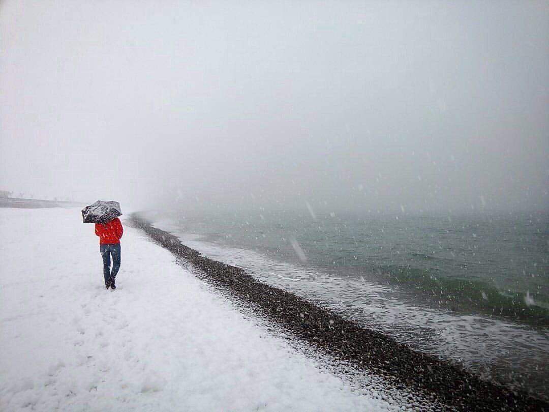 Snow in Sochi is always an event. - Snow, Sochi, beauty