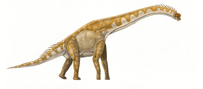 Giraffatitan South African colossus - Paleontology, Fossil, Longpost