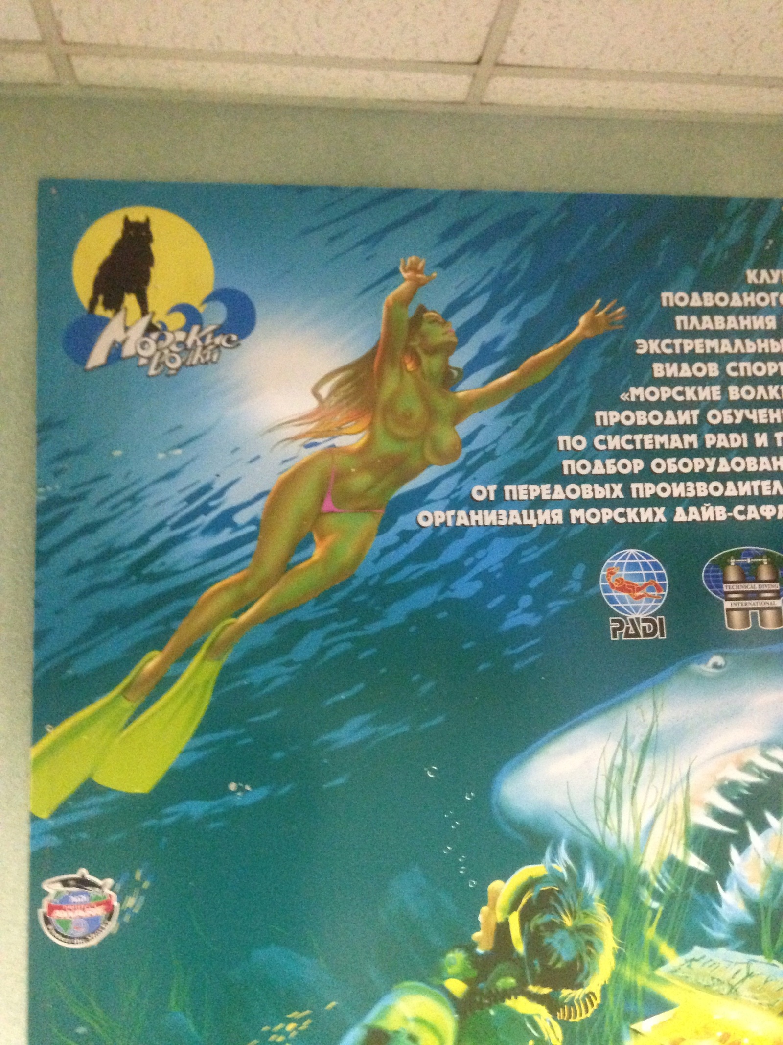 Modest advertising in the Moscow pool - NSFW, My, Advertising, Swimming pool