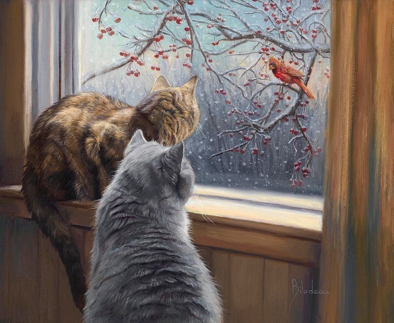 Bird, rowan, cats - Birds, Rowan, cat, Winter, 