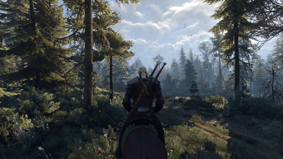 Review of the game The Witcher 3 Wild Hunt. Edition game of the year. (Long Post) - My, The Witcher 3: Wild Hunt, Passing, Longpost