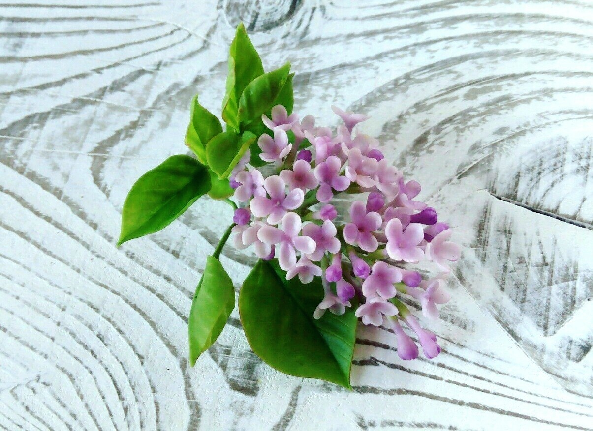 A sprig of lilac from cold porcelain. - My, Polymer clay, Cold porcelain, Needlework, Handmade, Spring, March 8, Decoration, Longpost