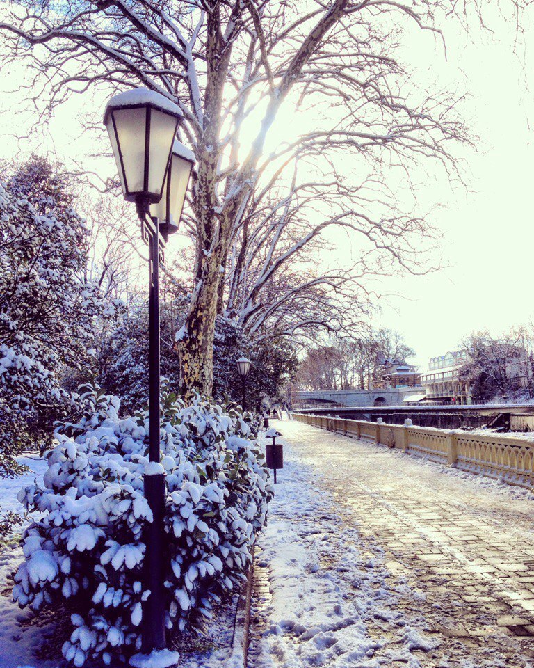 Subtropical winter in Sochi - Typical, Sochi, Longpost, Snow, Humor, Winter, Nature, Sea