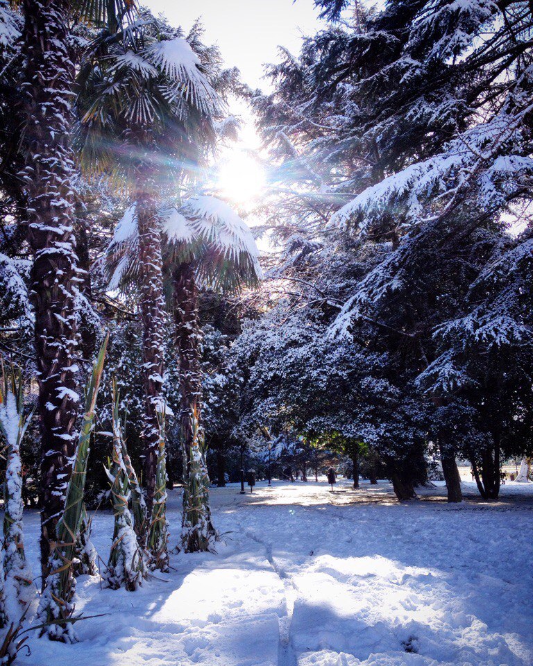 Subtropical winter in Sochi - Typical, Sochi, Longpost, Snow, Humor, Winter, Nature, Sea