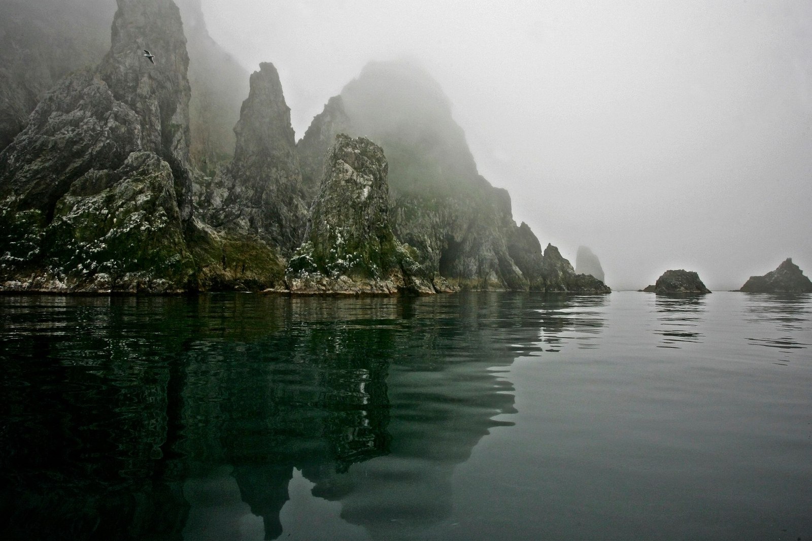 Copper Island - Kamchatka, Bering Sea, , Russia, The photo, Landscape, Nature, iron islands, Longpost