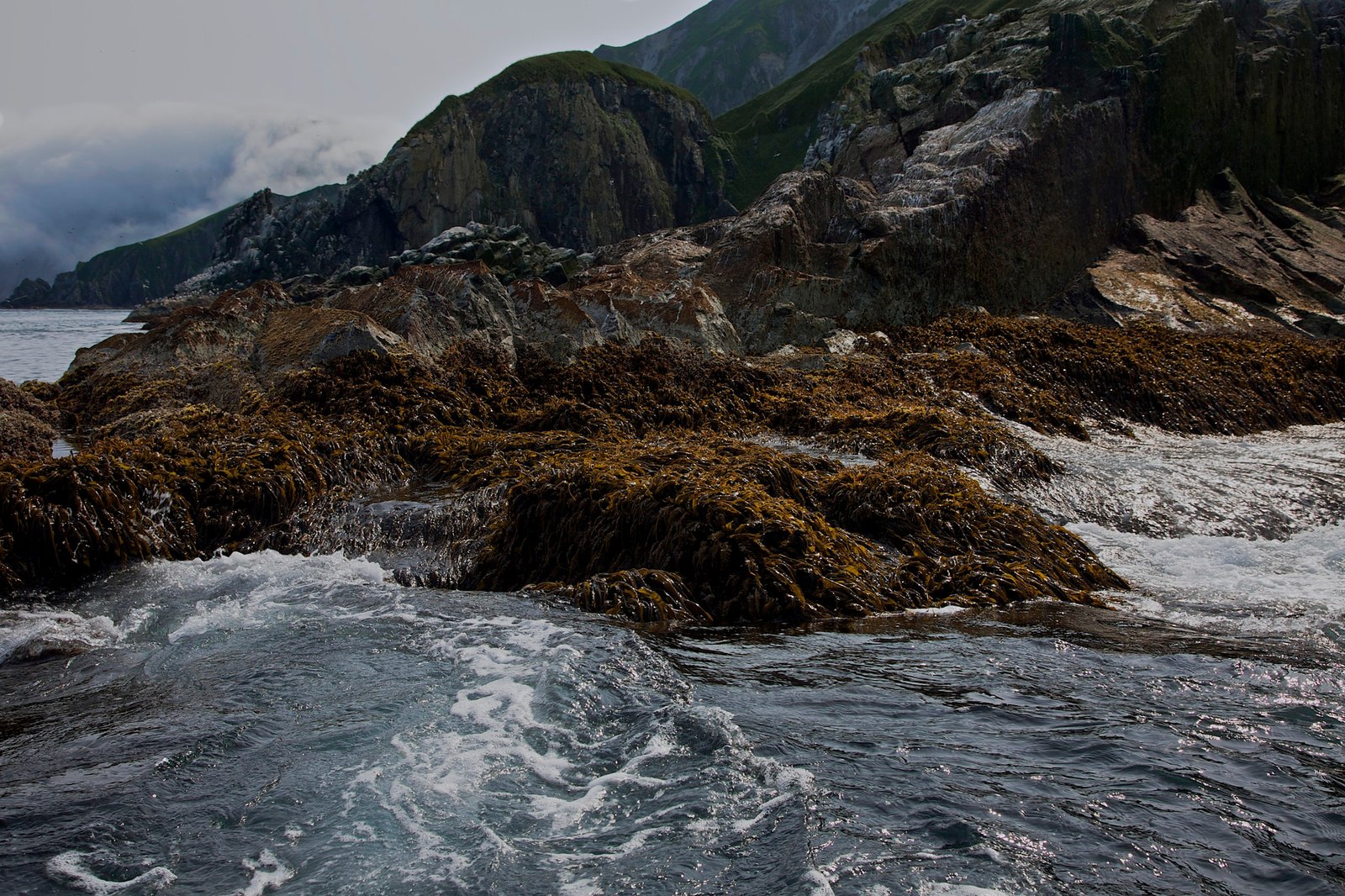 Copper Island - Kamchatka, Bering Sea, , Russia, The photo, Landscape, Nature, iron islands, Longpost