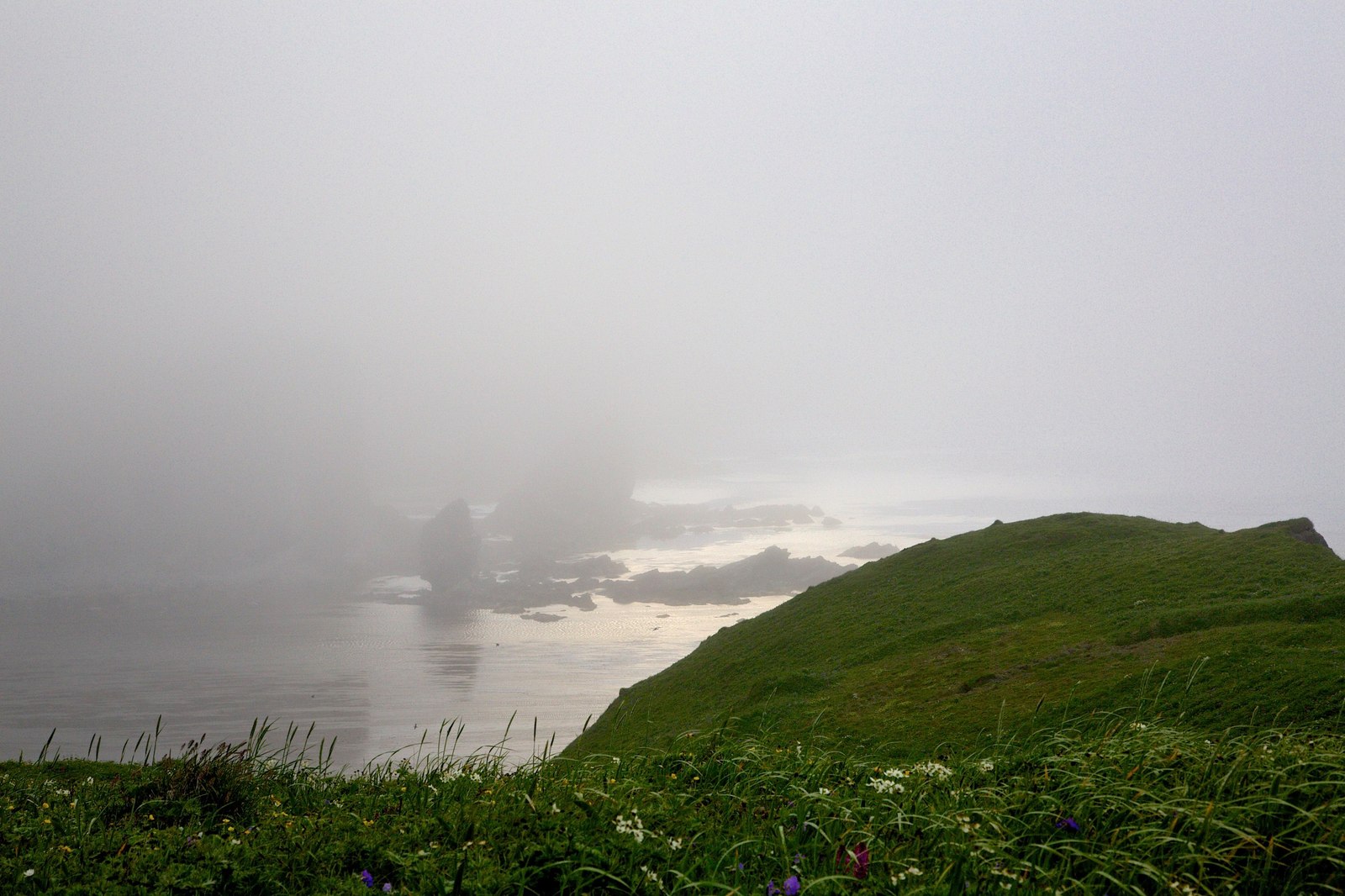 Copper Island - Kamchatka, Bering Sea, , Russia, The photo, Landscape, Nature, iron islands, Longpost