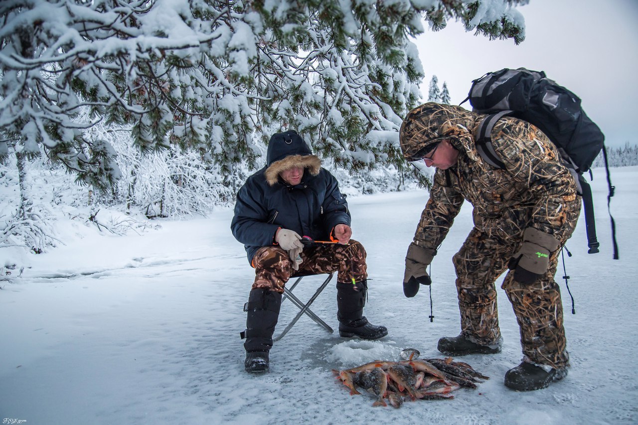 Smoking in nature - The photo, Winter fishing, Fishing, Winter, Perch, Smoking, Murmansk region, Longpost