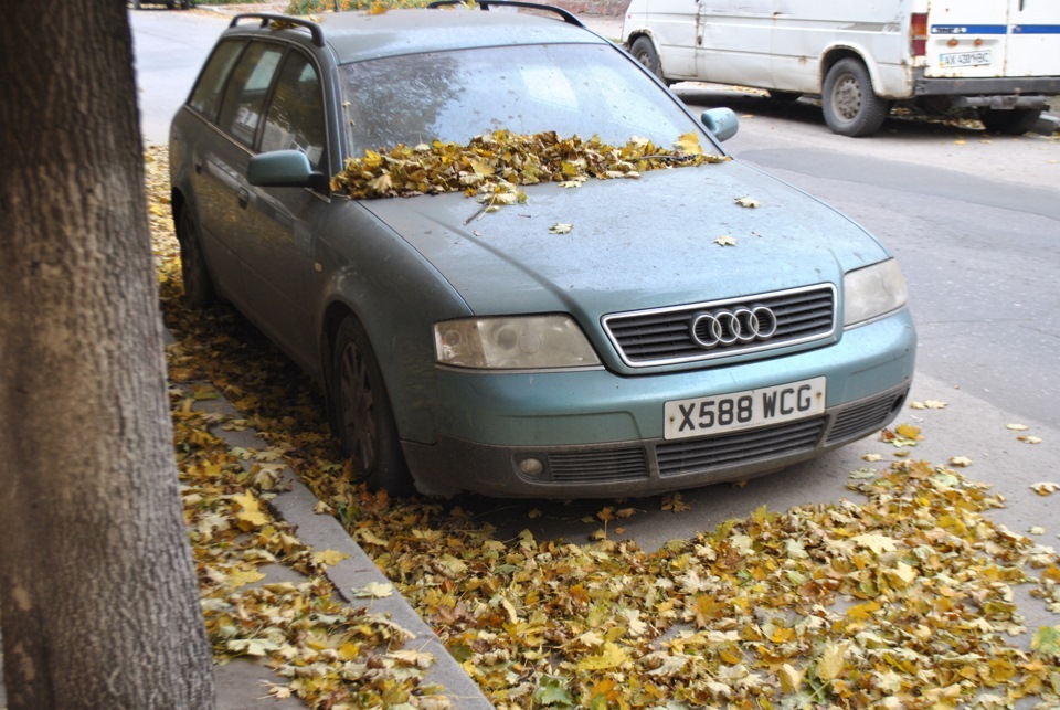 Abandoned cars in Kharkov. - Abandoned, Car, Forgotten, Longpost