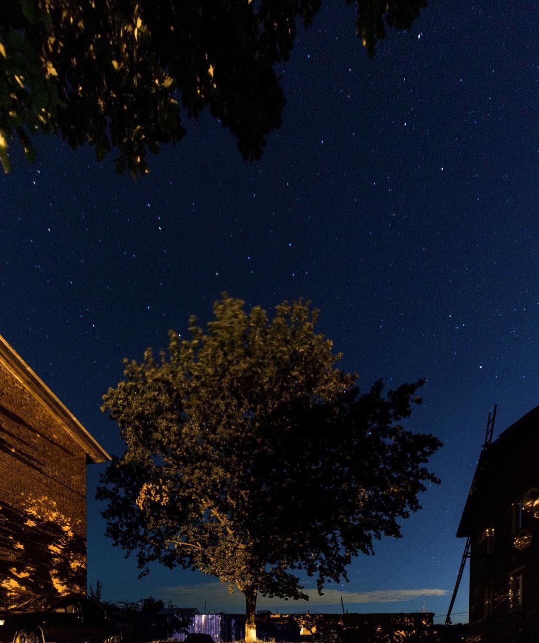 Tree, village, stars, sky - My, Tree, Village, Stars, Sky