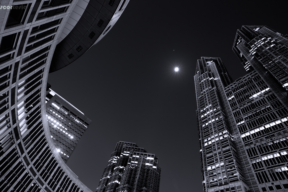 tokyo city hall - My, Canon 6d, Tokyo, Black and white, Japan