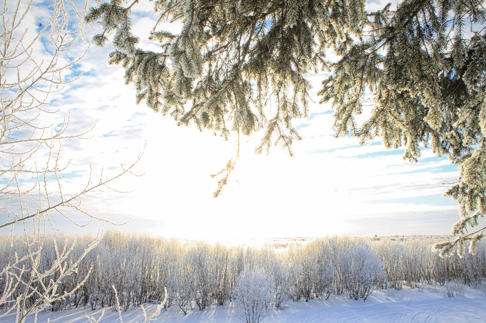 Winter fairy tale in the homeland of M.V. Lomonosov - My, The photo, Canon 1100d, , Lomonosovo, Arkhangelsk region, Longpost