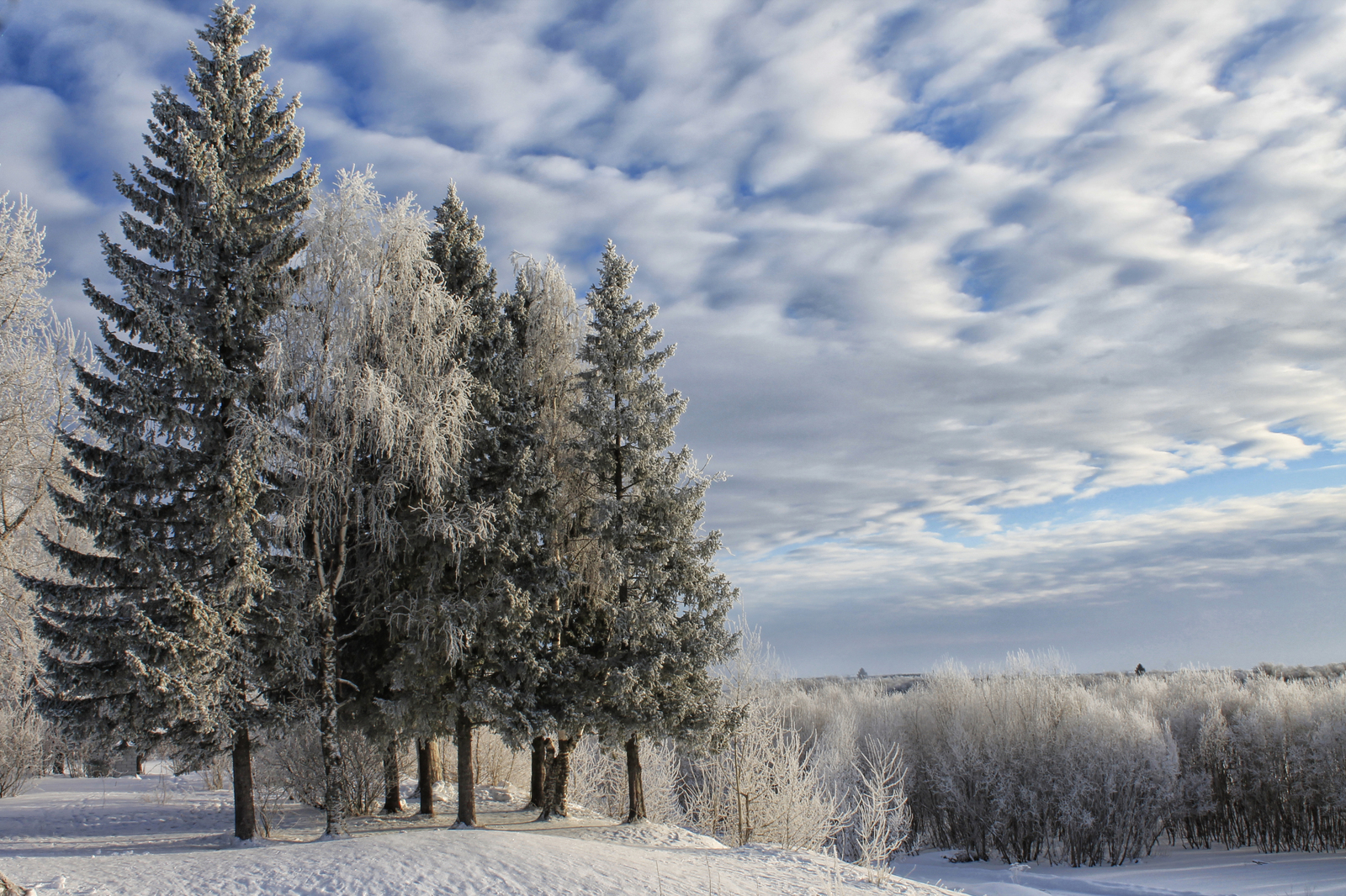 Winter fairy tale in the homeland of M.V. Lomonosov - My, The photo, Canon 1100d, , Lomonosovo, Arkhangelsk region, Longpost