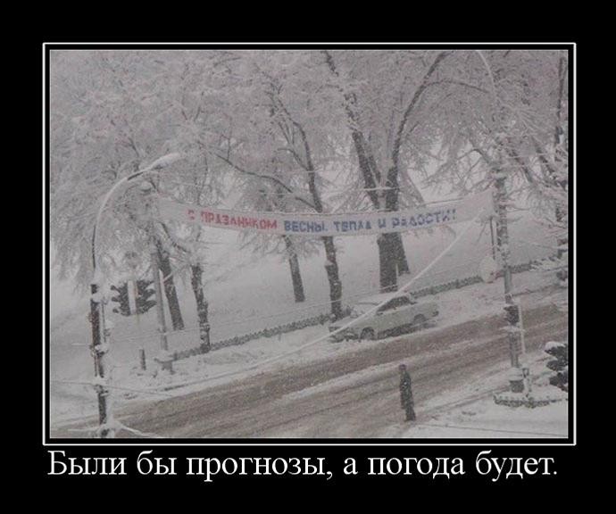 Demotivators, about winter for you) - Winter, cat, Snow, Demotivator, Longpost