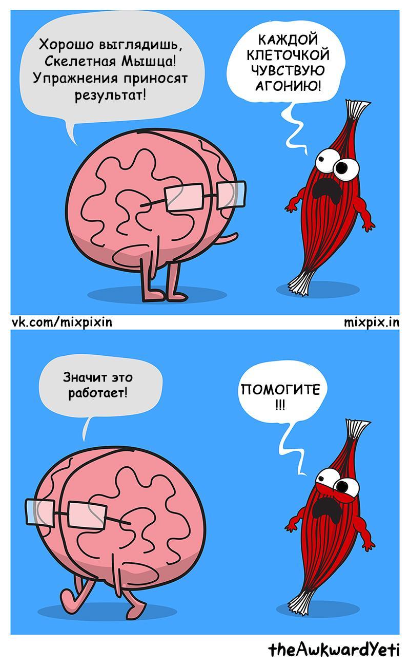 Pain means it works - My, Comics, Awkward yeti, Translation