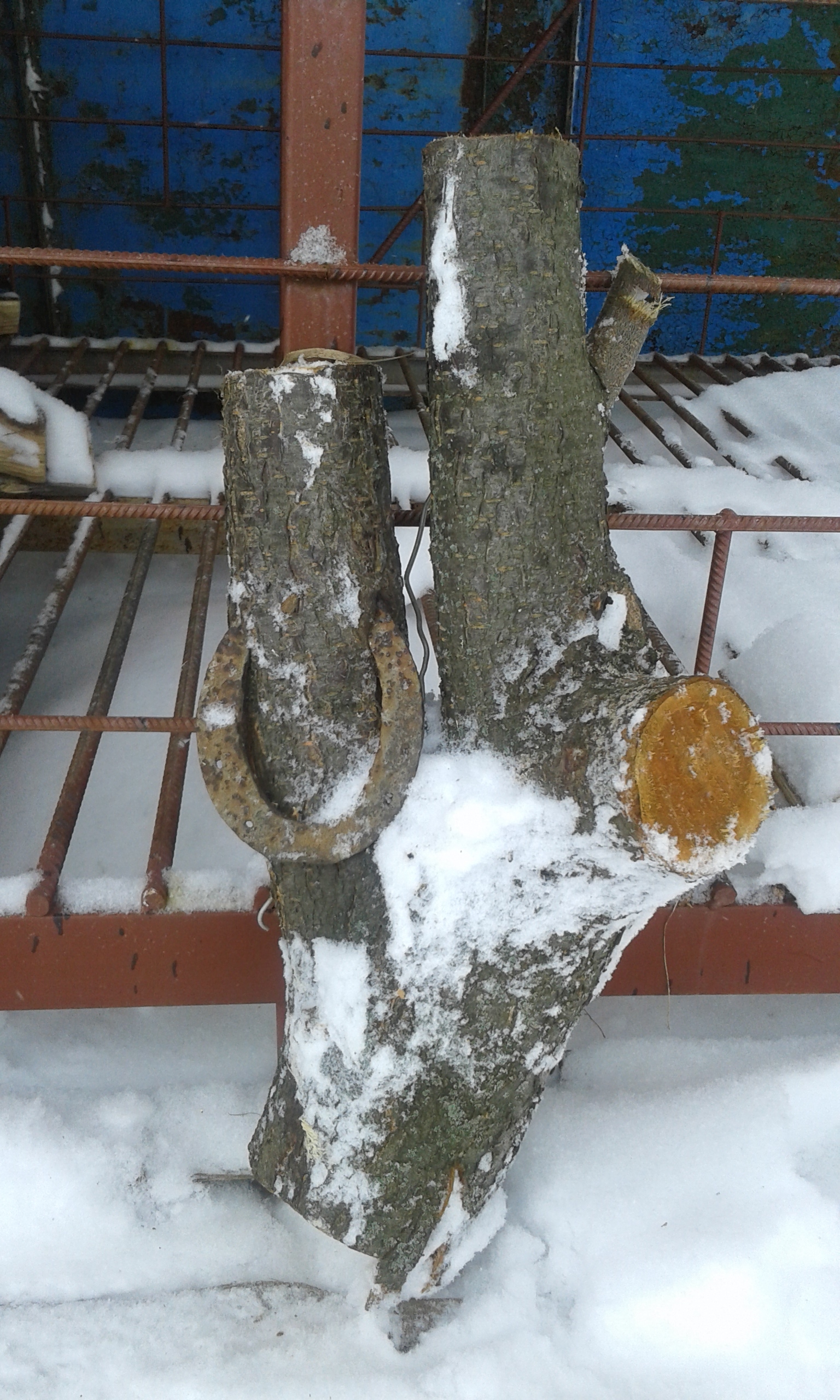 Is it good luck? - My, Horseshoe, Firewood, Luck