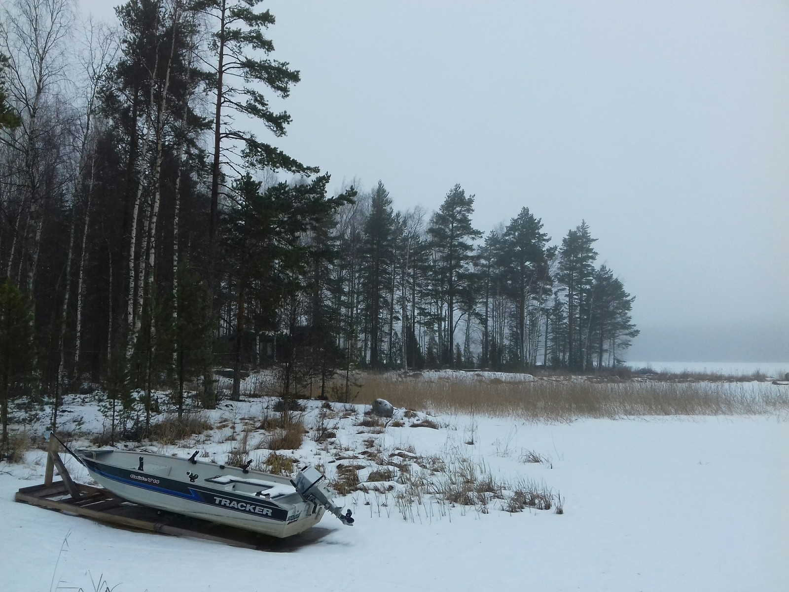 Finn's paradise - My, Finland, Forest, Nature, I am okay with it, Longpost