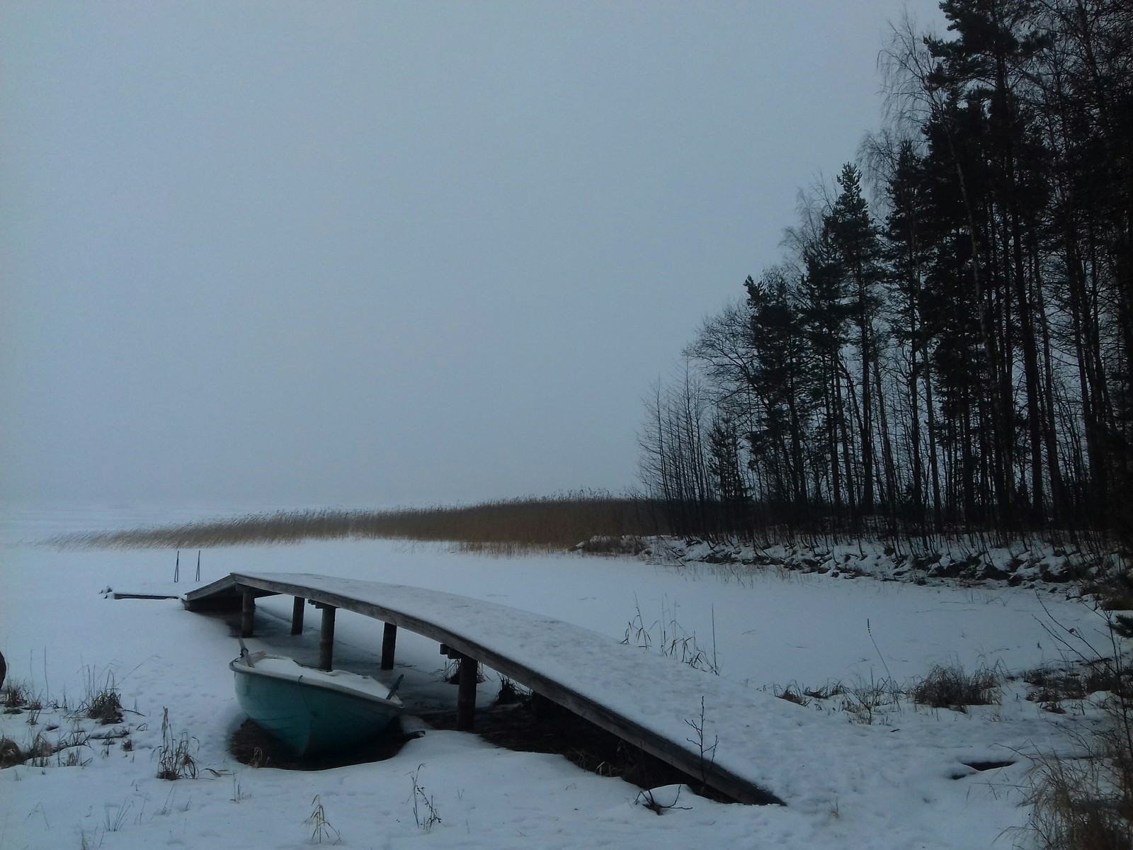 Finn's paradise - My, Finland, Forest, Nature, I am okay with it, Longpost